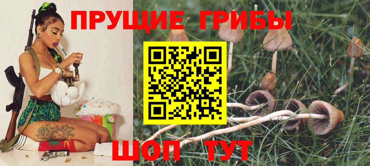 Псилоцибиновые грибы прущие грибы  Галлюциногенные грибы мицелий  Белорецк  Вход с VPN 